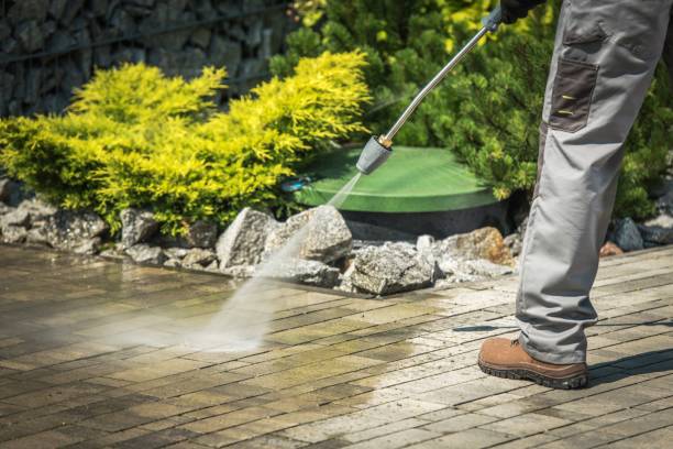 Best Winterizing Services  in Blasdell, NY
