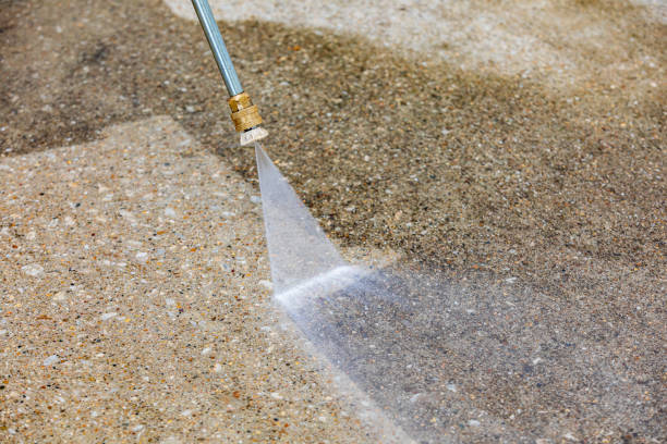 Best Sidewalk and Walkway Cleaning  in Blasdell, NY